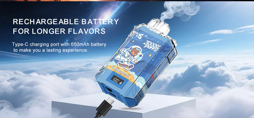 DE017 บุหรี่ไฟฟ้าแบบใช้แล้วทิ้ง 30000 Puffs พร้อมหน้าจอแสดงผล LED และแบบชาร์จไฟได้แบบปรับการไหลเวียนของอากาศได้ Disposable Vape